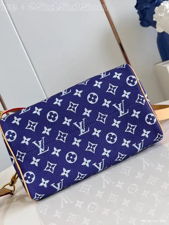 Aaa replica bags Vuitton 25 SPEEDY Louis 0603